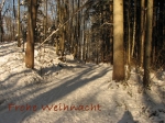 Dateiname=Frohe_Weihnacht.jpg
Dateigröße=226KB
Abmessungen: 800x600
hinzugefügt am: 22. Dezember 2012 Frohe_Weihnacht.jpg
